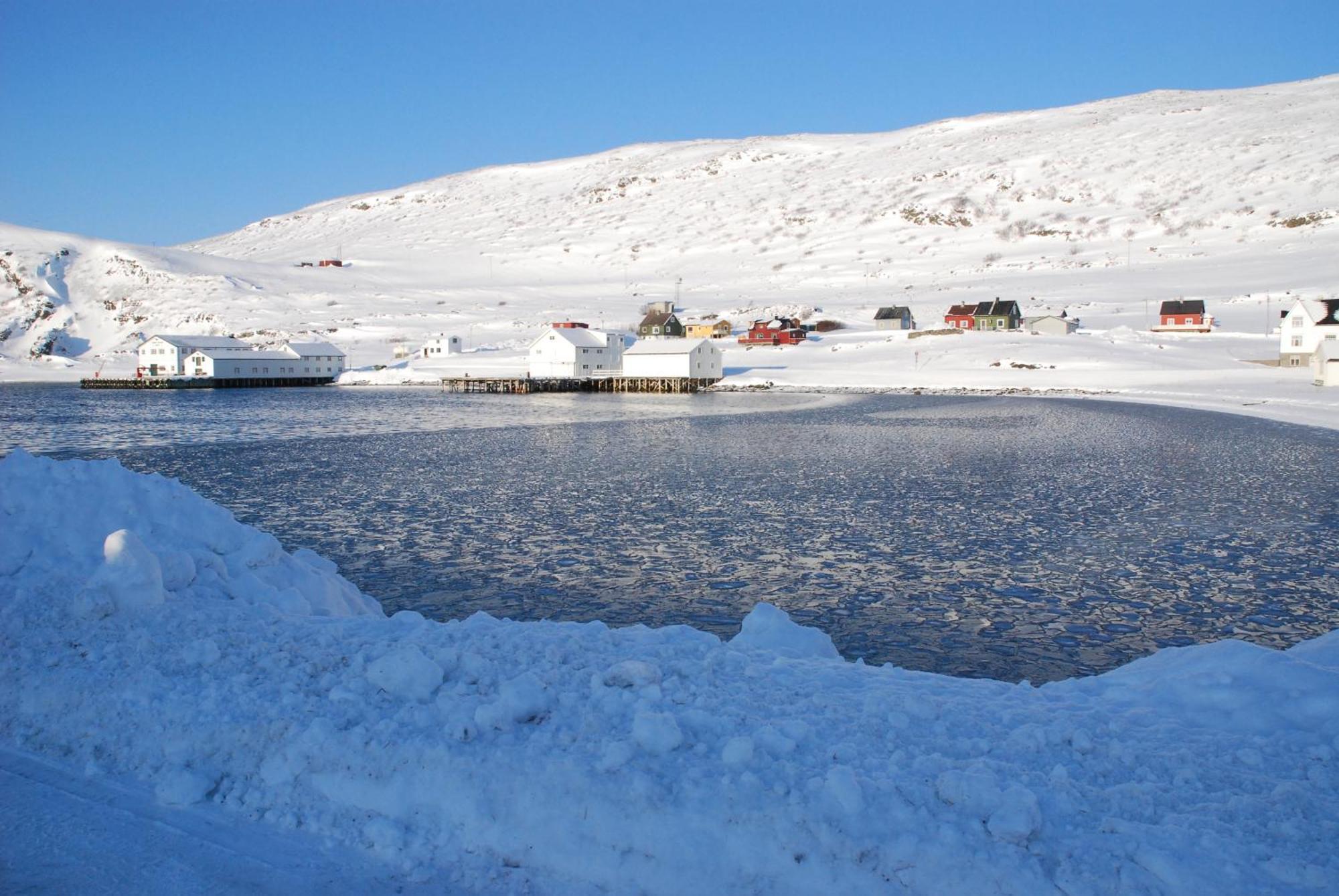 Kongsfjord Holiday Home Bagian luar foto