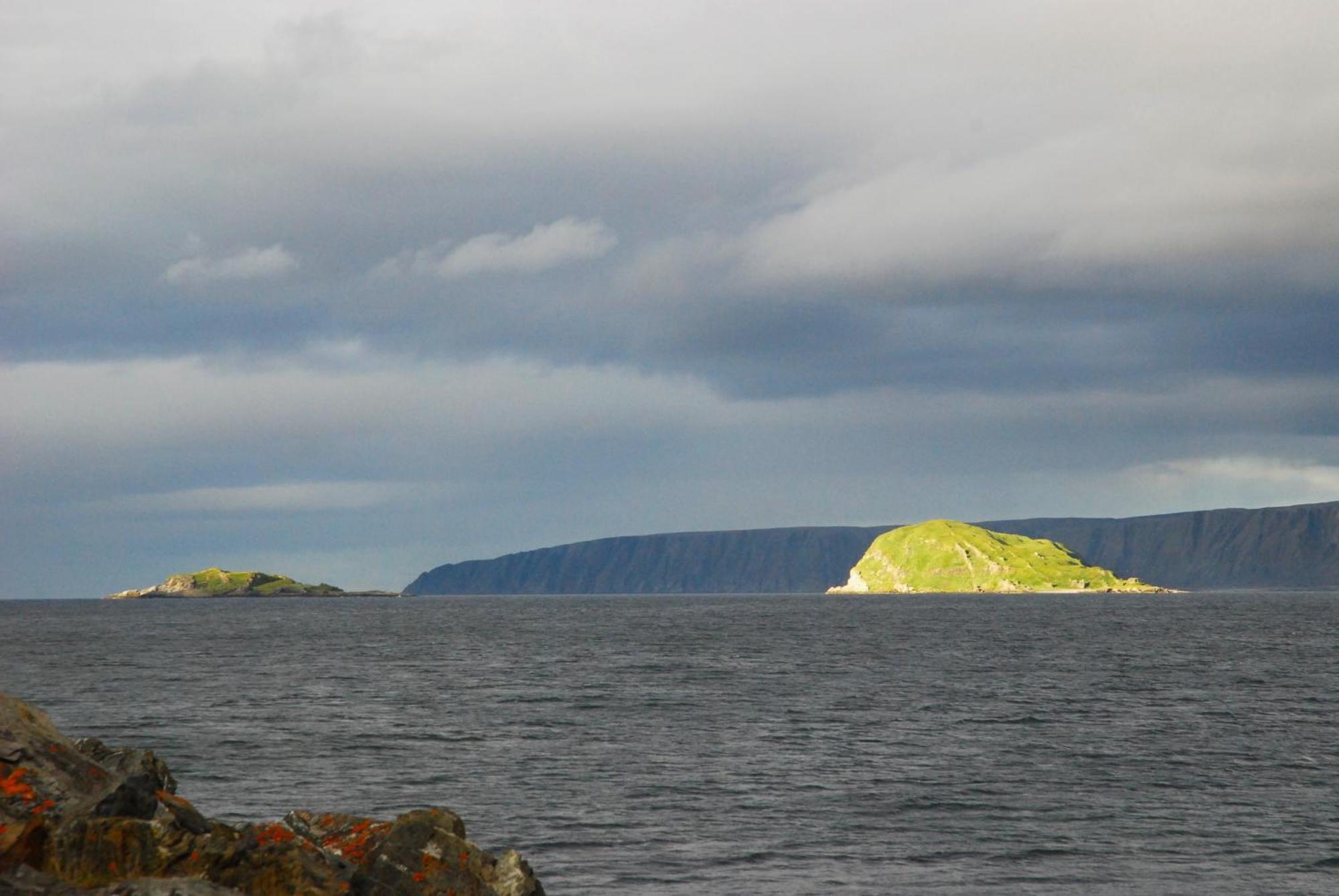 Kongsfjord Holiday Home Bagian luar foto