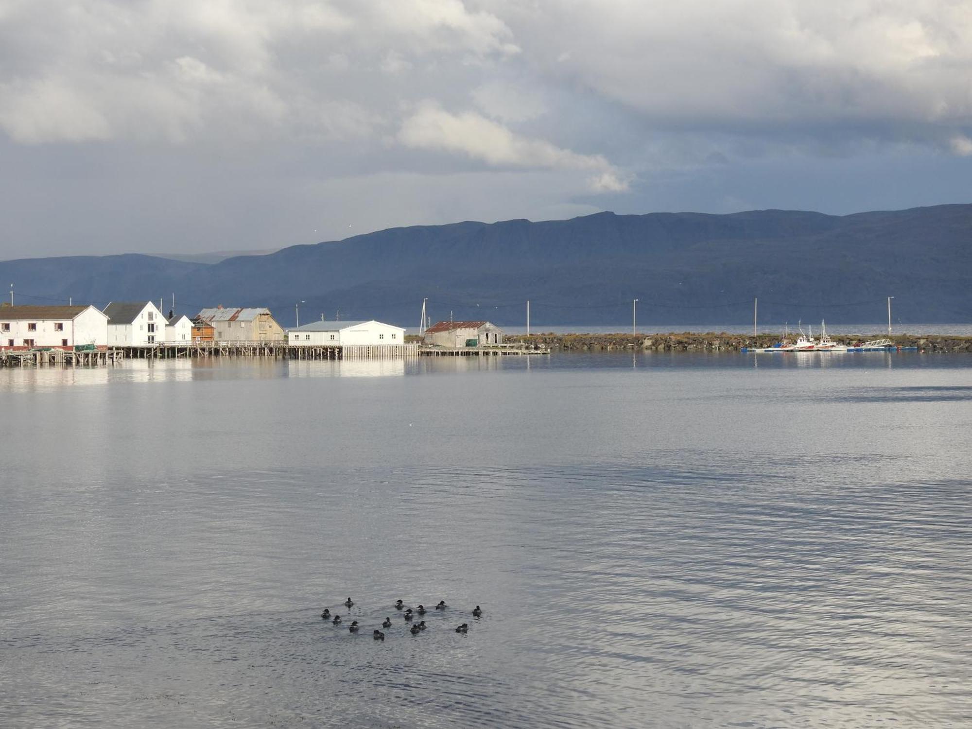 Kongsfjord Holiday Home Bagian luar foto
