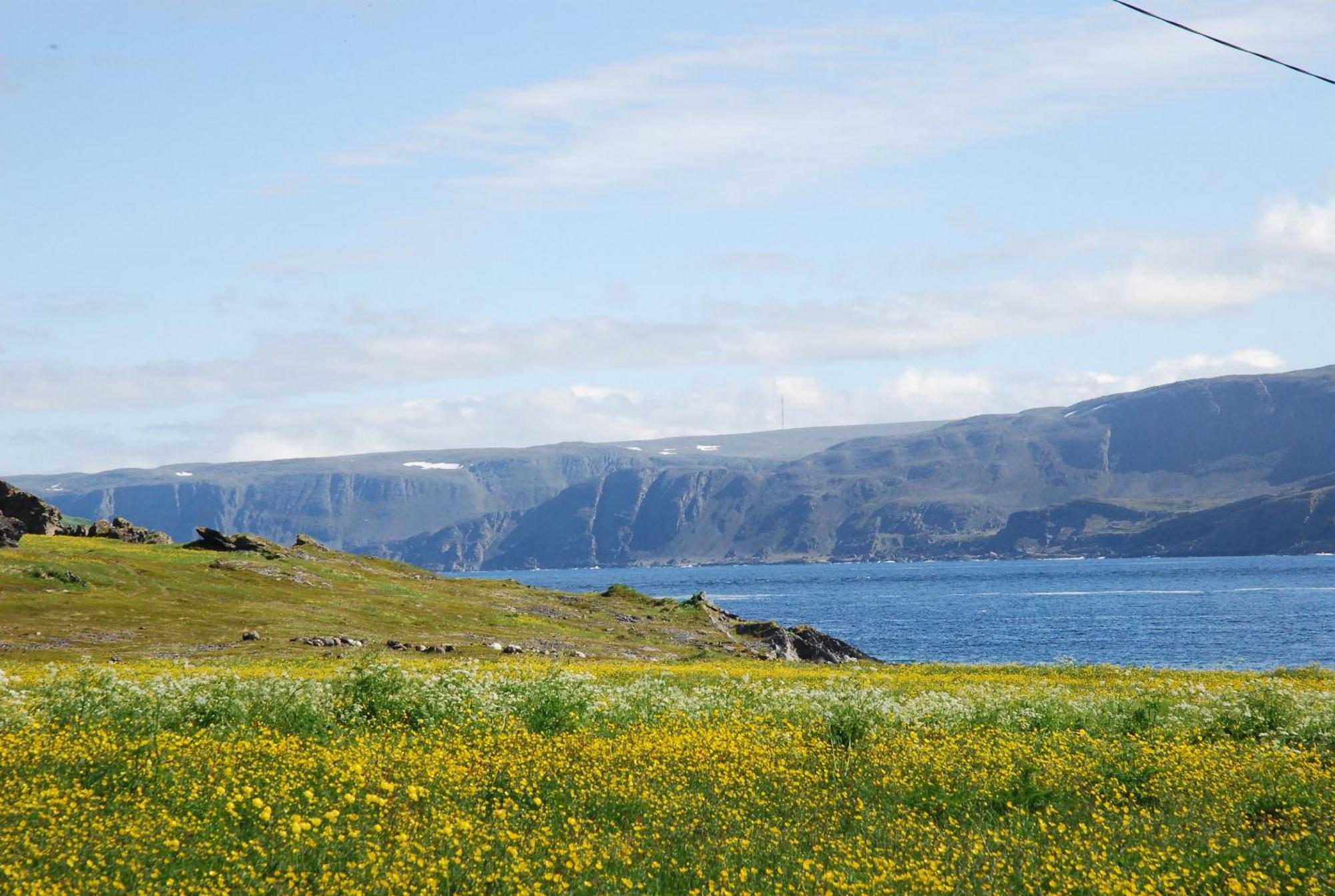 Kongsfjord Holiday Home Bagian luar foto